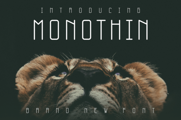 Monothin: A Stylish Sans Serif Font