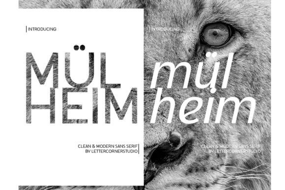 Mulheim: A Font for Business Clarity