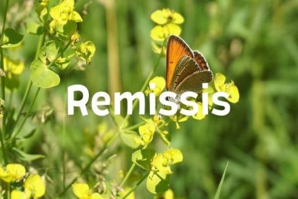 Remissis: A Font for Natural Branding